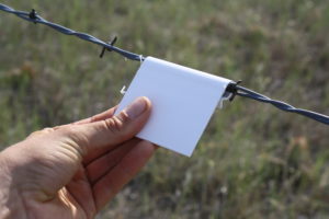 Fence-markers dramatically increase visibility of fences for all prairie species. 