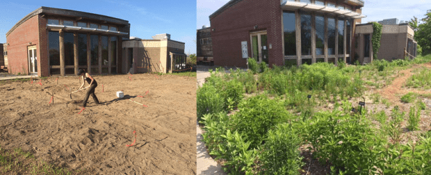 Refuge before and after the plantings. Photos from NPS (left) and NWF (right)