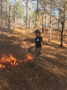 Tiffany Woods using a drip torch to ignite a low intensity, control burn on family land in Georgia. 
