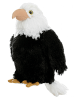 Bald-Eagle-plushie_150x196