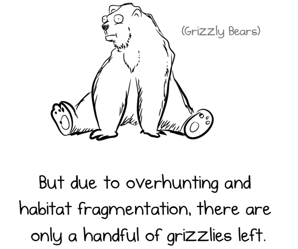 Grizzly Bear by The Oatmeal