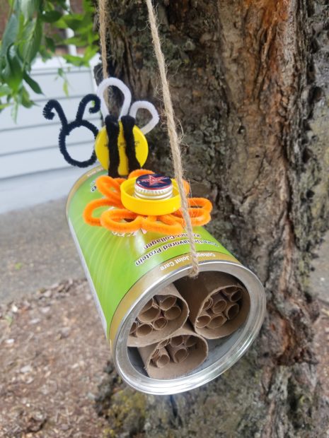 A bee canister hanging from a tree.