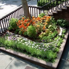Urban gardeners