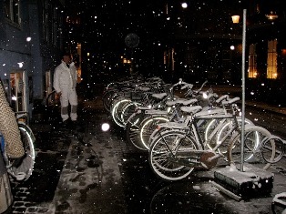 Copenhagen Bicycles 