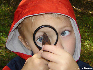 Boy looking at seed with magnifying glass