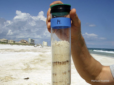 Pensacola Beach sample showing oil below clean surface.