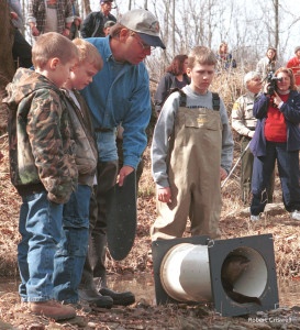 Otters being released in Pennsylvania.