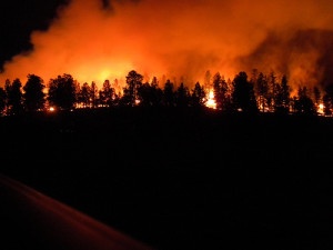 The guidance asks agencies to consider land use decisions and how climate change impacts like increased forest fires will impact federal projects. Image courtesty of US Forest Service, Apache-Sitgreaves National Forest