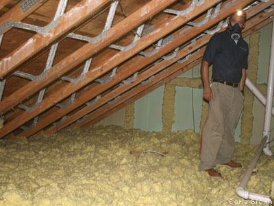 Inspecting the attic insulation
