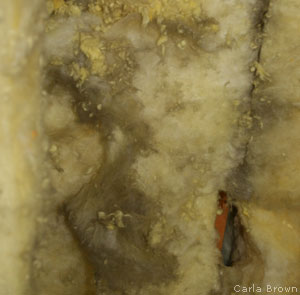 Insulation discolored by an air leak