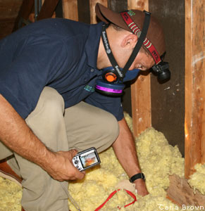 Inspecting Insulation