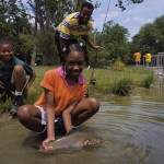 Children fishing