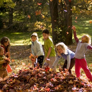 6 Outdoor Thanksgiving Activities for Kids - The National Wildlife ...