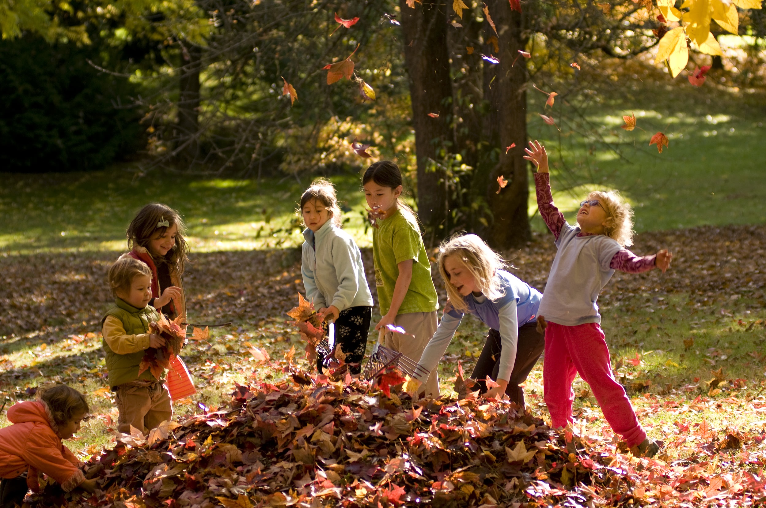 kids playing in leaves.