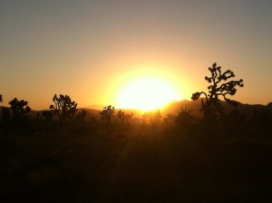 Sunset