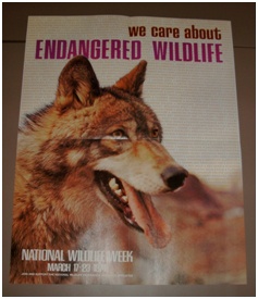 1974 National Wildlife Week Poster