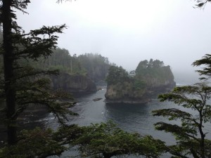 Islands in a small bay at Cape Flattery, WA