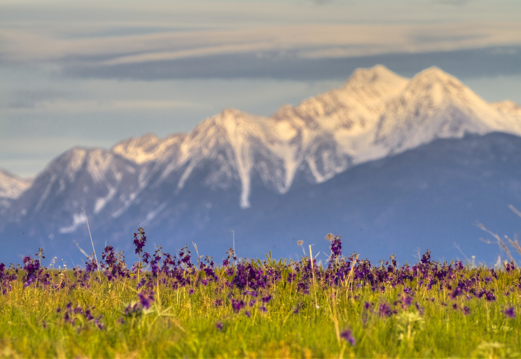 Happy Birthday Mission Mountains Tribal Wilderness! The National