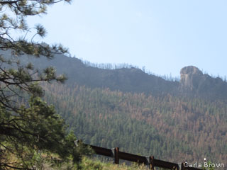 Burned trees along the mountain ridges, Cache la Poudre River in Colorado