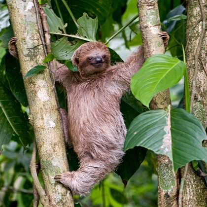 Photo of the Day: A Slow Climb • The National Wildlife Federation Blog ...