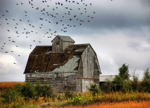 Old barns might still be pretty, but old farm laws are not.  The Farm Bill has to keep moving forward to keep up with the times.  Photo credit: flickr, cwwycoff1