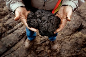 Tar sands in hand. Photo by Lou Gold