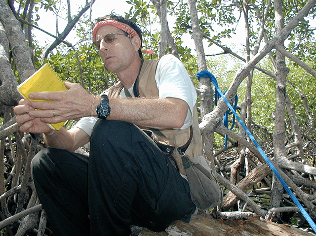 D Scott Taylor in Mangroves