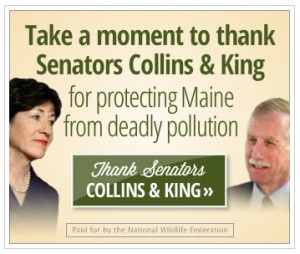 Thank Senators Collins and King