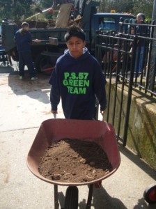 PS 57 Earth Day - boy with wheelbarrow and dirt
