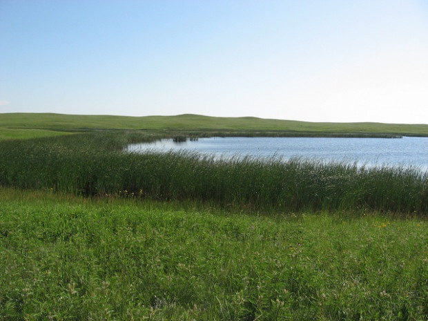 The prairie pothole region is under particular threat from weakened Clean Water Act protections. Plains and Prairie Potholes Landscape Conservation/Flickr.