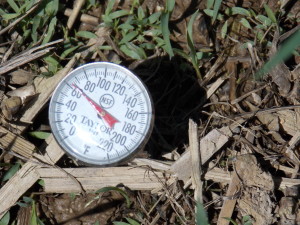 The soil temperature of a no till cover crop field shows 63 degrees.