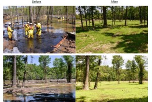Exxon's "before" & "after" photos of the Pegasus tar sands oil spill in Mayflower, AR