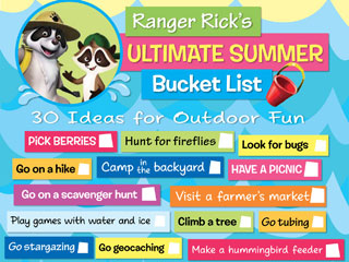 Ranger Rick's Summer Bucket List