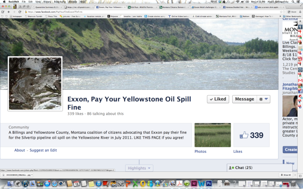 Screenshot of the Exxon, Pay Your Fine Facebook Page. 