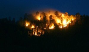 Dean Peak Wildfire, Arizona (Bureau of Land Management/Herberta Schroeder)