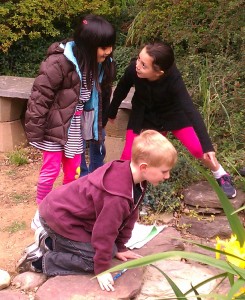 Elementary school students in Alexandria, Virginia explore the pond in their Schoolyard Habitat.