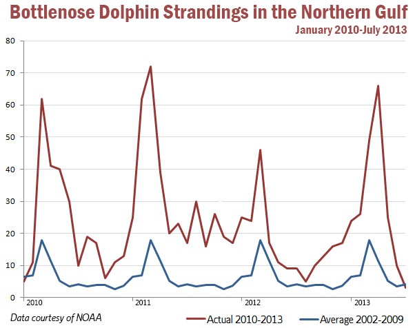 Gulf Dolphin Strandings Jan 2010-July 2013