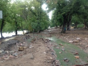 Floodwaters that tore through eastern Colorado communities damaged homes and public spaces. like this park in Boulder. Photo by Whitney Coombs/ NWF