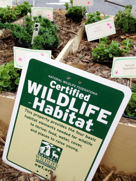 With food, water, cover and a place to raise young are the four elements required to receive the coveted Certified Wildlife Habitat® sign.