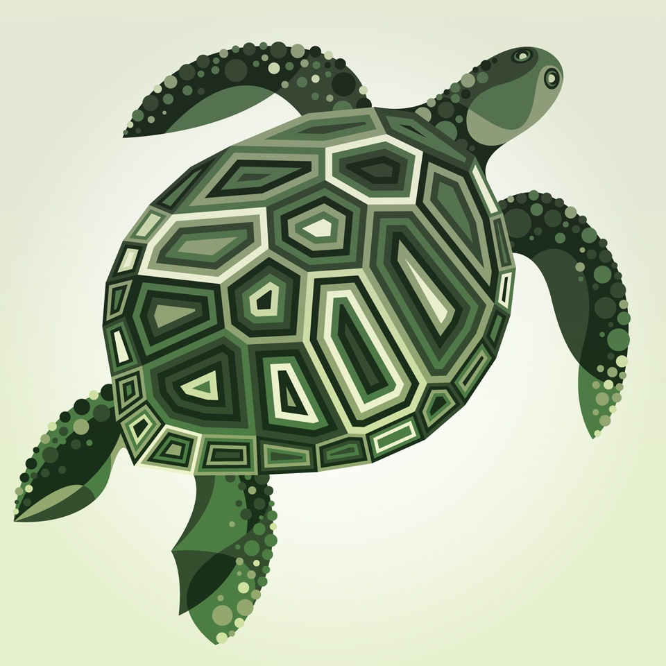 Turtle shape. Панцирь морской черепахи. Стилизованные черепахи. Стилизация черепахи. Черепаха орнамент.