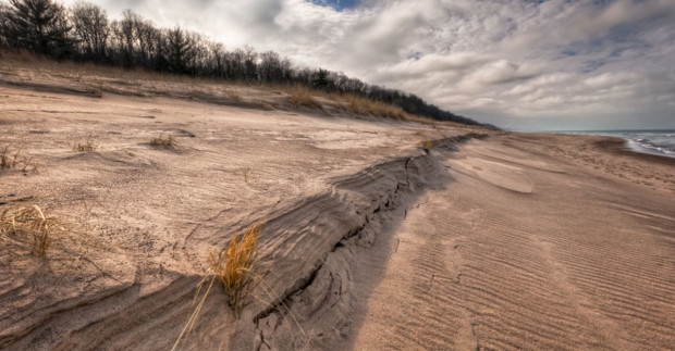 The beach at Indiana Dunes State Park. 