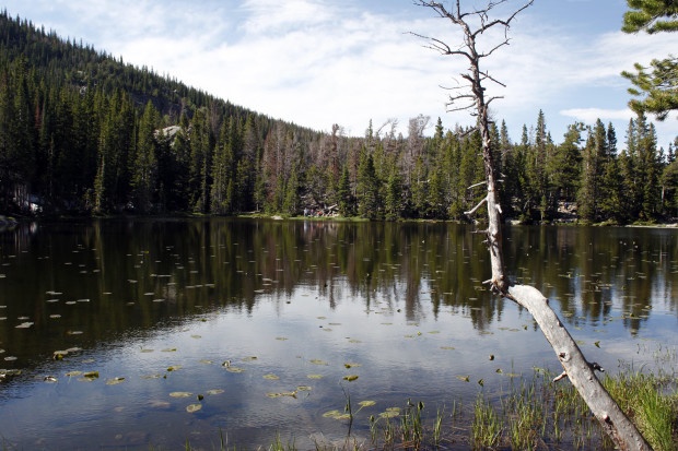 Nymph Lake  is popular with visitors to Rocky Mountain National Park. Visitors aren't enjoying it this fall, thanks to the government shutdown. NWF Photo 