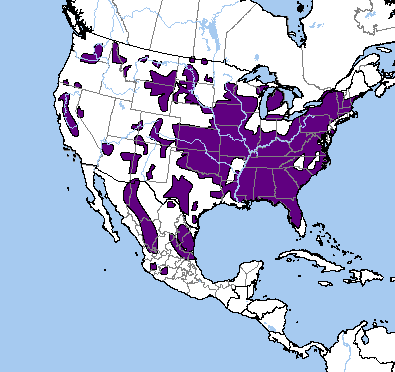Where Turkeys are Permanent Residents by Nature Serve