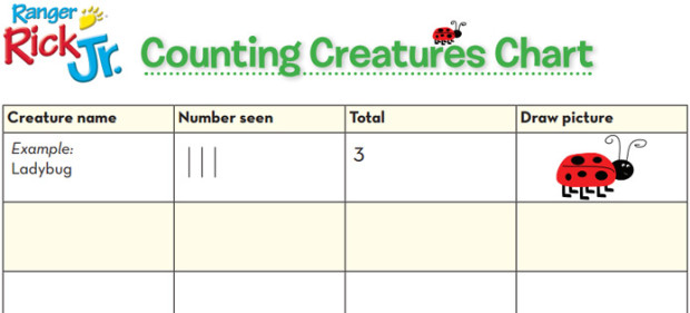 Use our chart to count how many animals and plants you can find in a one-yard square