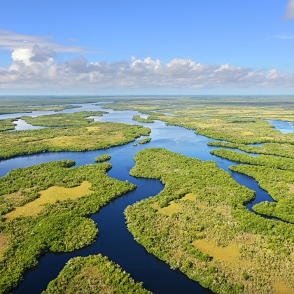 Restoring the Everglades, Restoring the Gulf • The National Wildlife ...