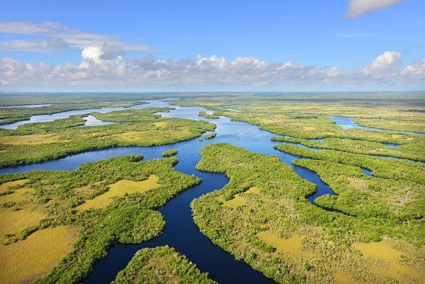 Everglades_Aerial2