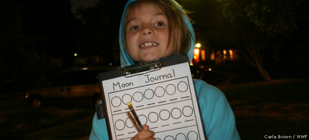 Keep a journal of the moon phases
