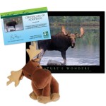 Moose adoption kit