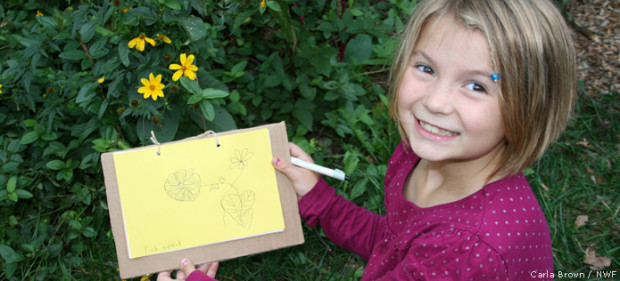 Draw in your handmade nature notebook