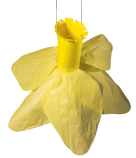Paper daffodil wind sock craft